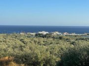 Koutsouras Kreta, Koutsouras: Tolles Baugrundstück in Meeresnähe zu verkaufen Grundstück kaufen